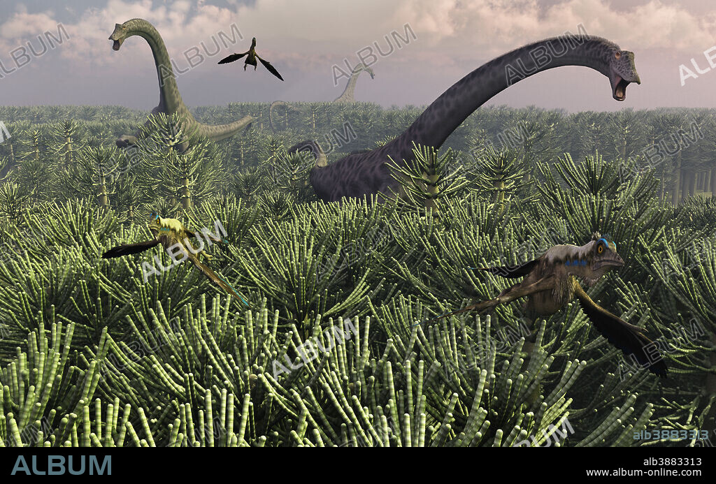 Diplodocus was a large dinosaur of the Sauropod family. The Diplodocus was part of the Jurassic period, and is a herbivore with a big appetite that can grow up to 175 feet in length. More fossils have been found of this Sauropod than any other dinosaur of the same group.