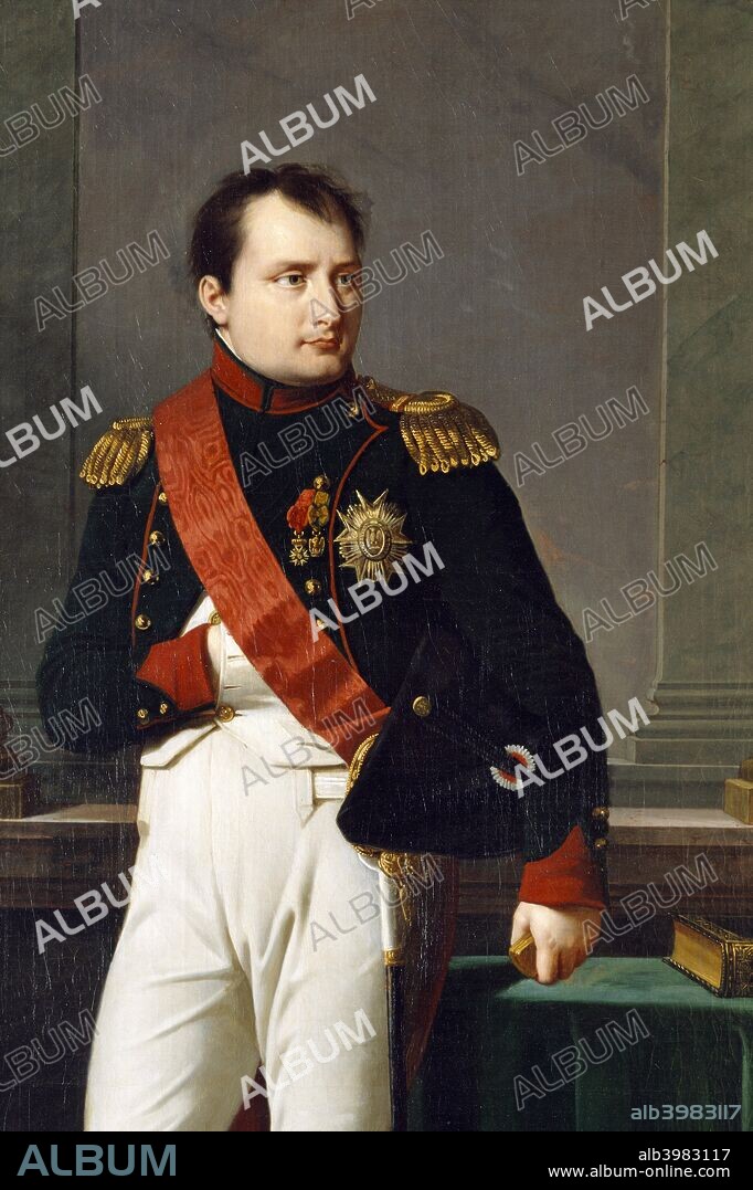 Detail of a portrait of Napoleon Bonaparte, 1812. From the collection of Apsley House, London.