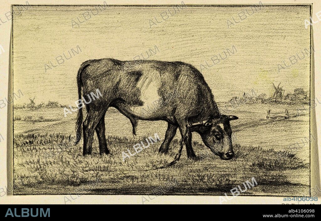 Grazing bull in a pasture, to the right. Draughtsman: Jean Bernard. Dating: 1775 - 1833. Measurements: h 127 mm × w 195 mm.