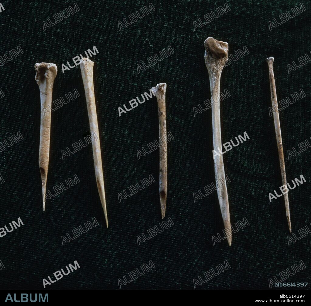 AGUJAS ANZUELOS PREHISTORICOS UTILIZADOS PARA PESCAR.
