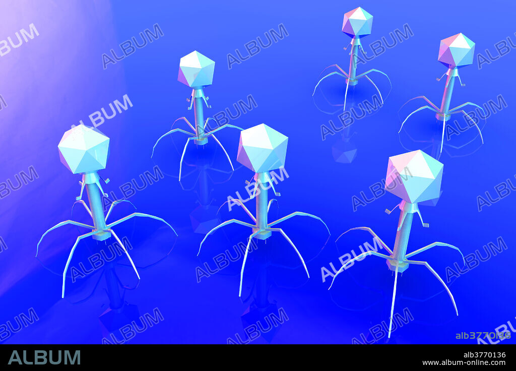 T4 Bacteriophage Virus, Illustration