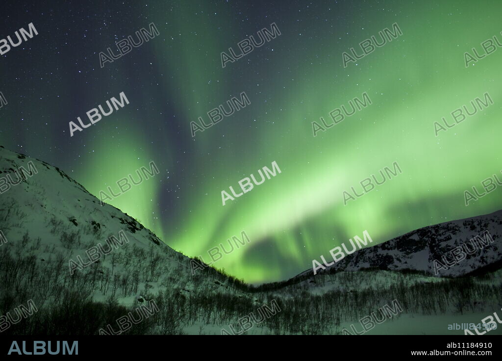 The Aurora Borealis, the spectacular Northern Lights fill the sky with dazzling green light above Kvaloya island at Tromso in the Arctic Circle in Northern Norway.