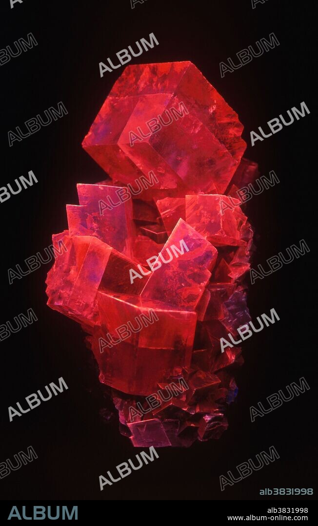 Calcite, Fluorescent Mineral. Photographed under short-wave UV light. Tsumeb, Namibia. 6 x 3.5 x 1.5 cm. Series 2 of 2. For comparison with white light see image 3R4943.