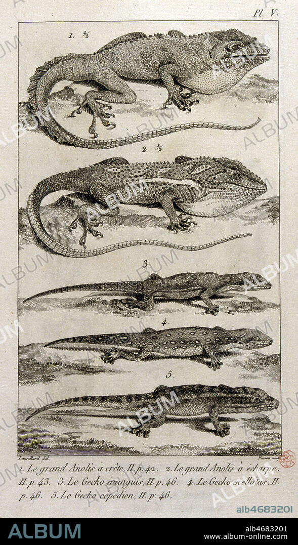 Differents sauriens. Illustration tiree de l'ouvrage de Georges CUVIER (1769-1832) 'Le regne animal', edition de 1817. (19eme, 19e, XIXe s.) Planche zoologique. Credit : JEAN VIGNE / KHARBINE-TAPABOR.