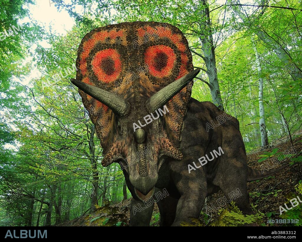 A colorful Torosaurus wanders a Cretaceous forest 75 million years ago in what is today southeastern Wyoming.. . Like the better known Triceratops, Torosaurus was a ceratopsid, a family of large four-legged plant-eating dinosaurs characterized by beaks, rows of shearing teeth in the back of the jaw, and elaborate horns and frills. While they resemble defensive shields, the frills are in fact relatively fragile, suggesting that they may have served a purpose other than protecting against a brute force attack. One possibility is that the frills were employed as visual displays in order to intimidate rivals and attract the opposite sex. While no color pigmentation has been preserved in the fossil remains of ceratopsids, it's not unreasonable to suggest that they may have been very colorful, like many reptiles and birds today.