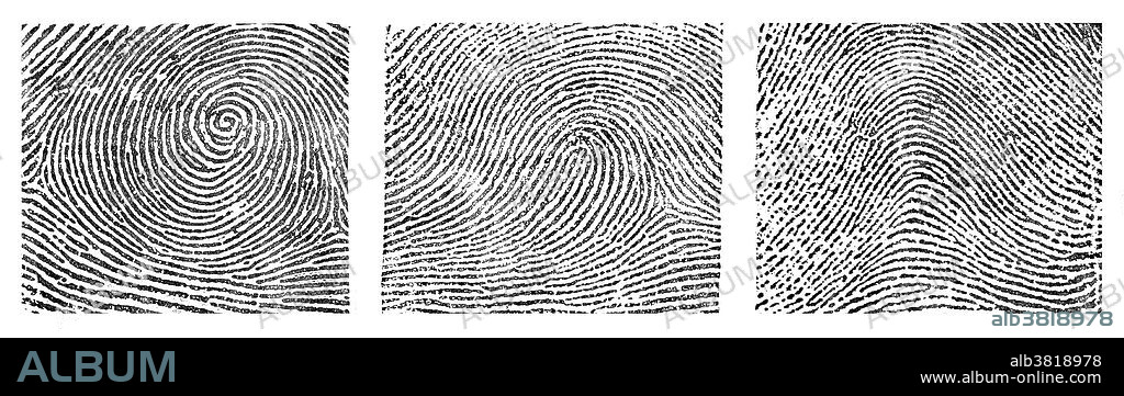 A composite of fingerprint images taken from Edward Richard Henry's Classification and Uses of Fingerprints. The Henry Classification System divides fingerprint records into groupings based on pattern types. The system makes it possible to search large numbers of fingerprint records by classifying the prints according to whether they have an whorl (left), loop (middle) or arch (right). The Henry Classification System is a long-standing method by which fingerprints are sorted by physiological characteristics for one-to-many searching. Developed by Sir Edward Henry in the late 19th century for criminal investigations in British India, it was the basis of modern day AFIS classification methods up until the 1990s. In recent years, the Henry Classification System has generally been replaced by ridge flow classification approaches.