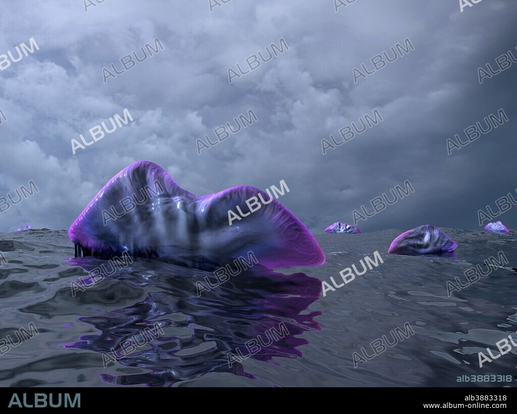 Portuguese Man o' War swarm over the surface of a Cambrian ocean 500 million years ago.. . During the Cambrian period the Earth's oceans were teaming with life, however with the exception of some microbes, there weren't likely many life forms making an appearance above water. One of the first macro organisms to consistently expose at least part of itself to the world above was the Portuguese Man o' War. Resembling a jellyfish, the Portuguese Man O' War is a siphonophore: a . colony of four kinds of specialized polyps and medusoids functioning together to ensure their mutual survival. The approximately 12 inch long air-filled bladder floating above water buoys an array of stinging tentacles that can descend to over 100 feet.