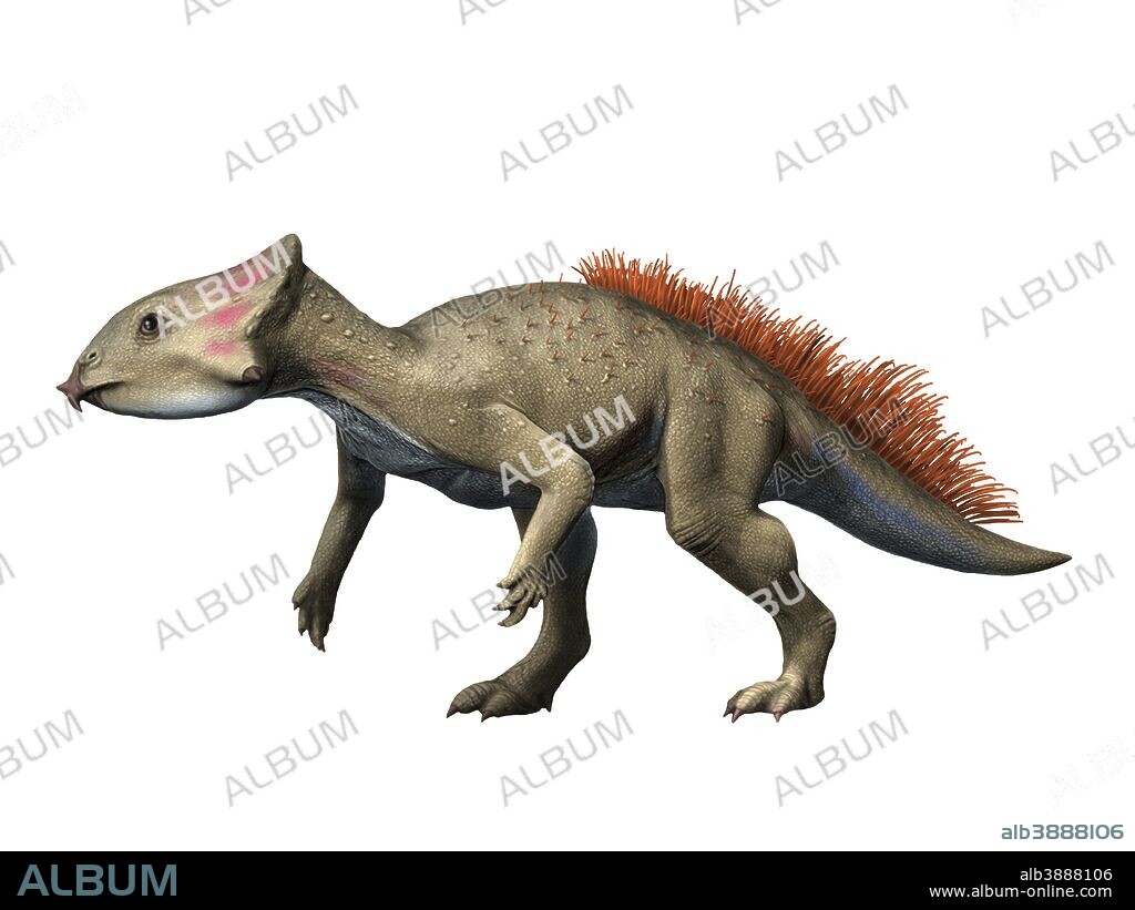 Aquilops is a ceratopsiam from the Early Cretaceous period of Montana.