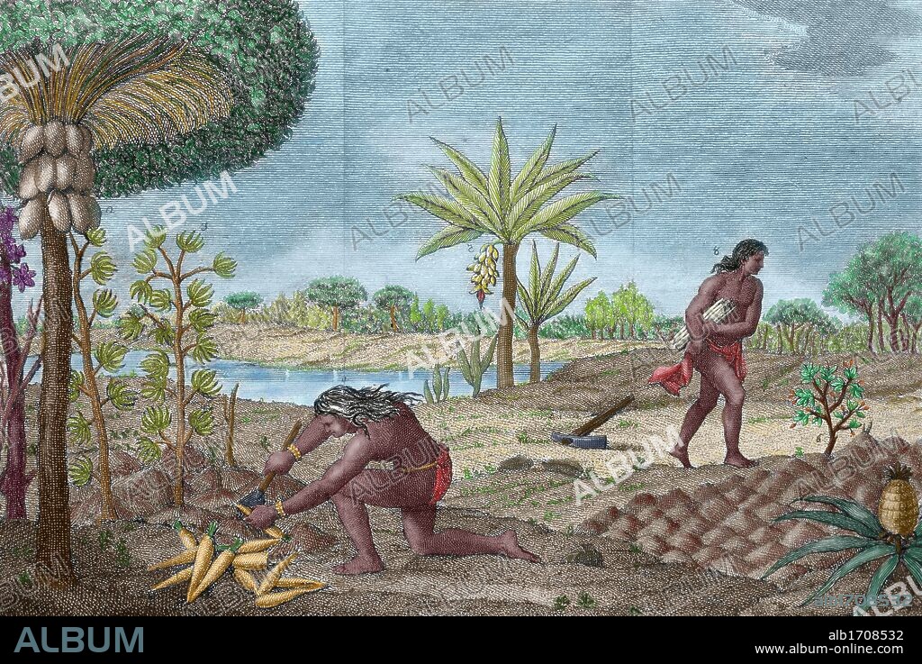 INDIGENAS DE AMERICA DEL SUR. SIGLO XVI-XVIII. Los INDIOS YANOMAMOS, habitantes de las cuencas de los rios Amazonas y Orinoco, eran cazadores y las mujeres se dedicaban a la agricultura y sembraban yuca y frutales. Grabado italiano del año 1780. Coloreado.
