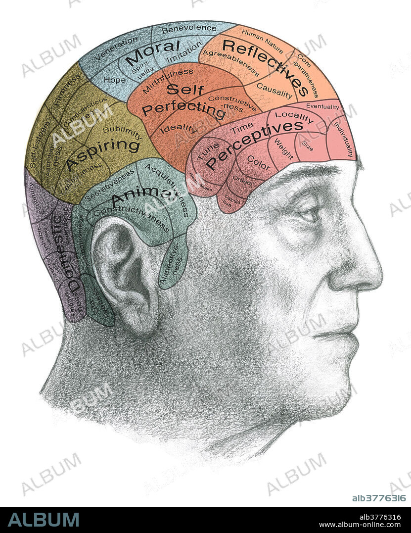 Phrenology, Illustration