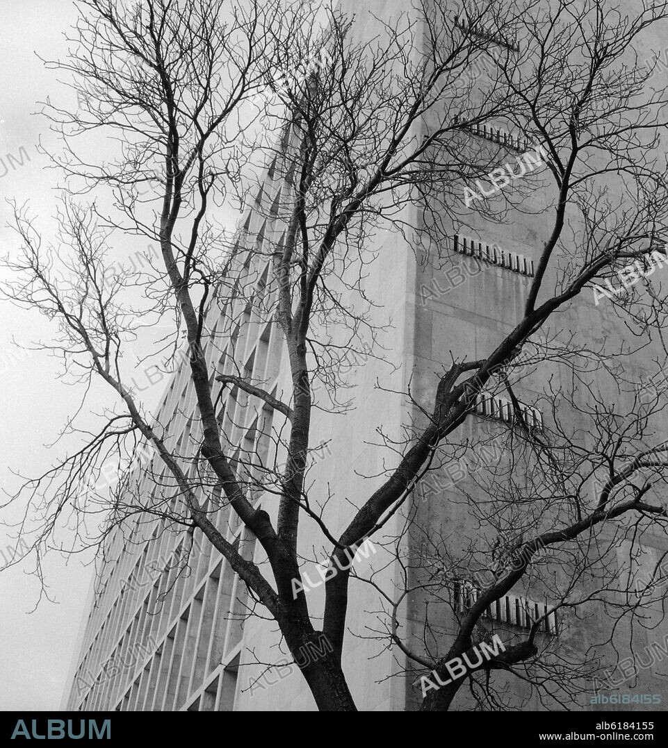 EDIFICIO DE OFICINAS - FOTOGRAFIA EN BLANCO Y NEGRO - AÑOS 60.