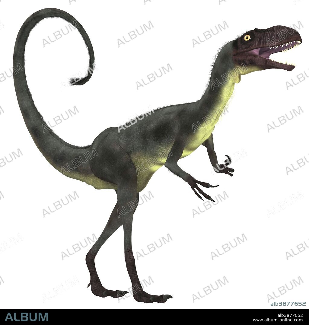 Dilong was a small carnivorous theropod dinosaur that lived during the Lower Cretaceous Period of China.