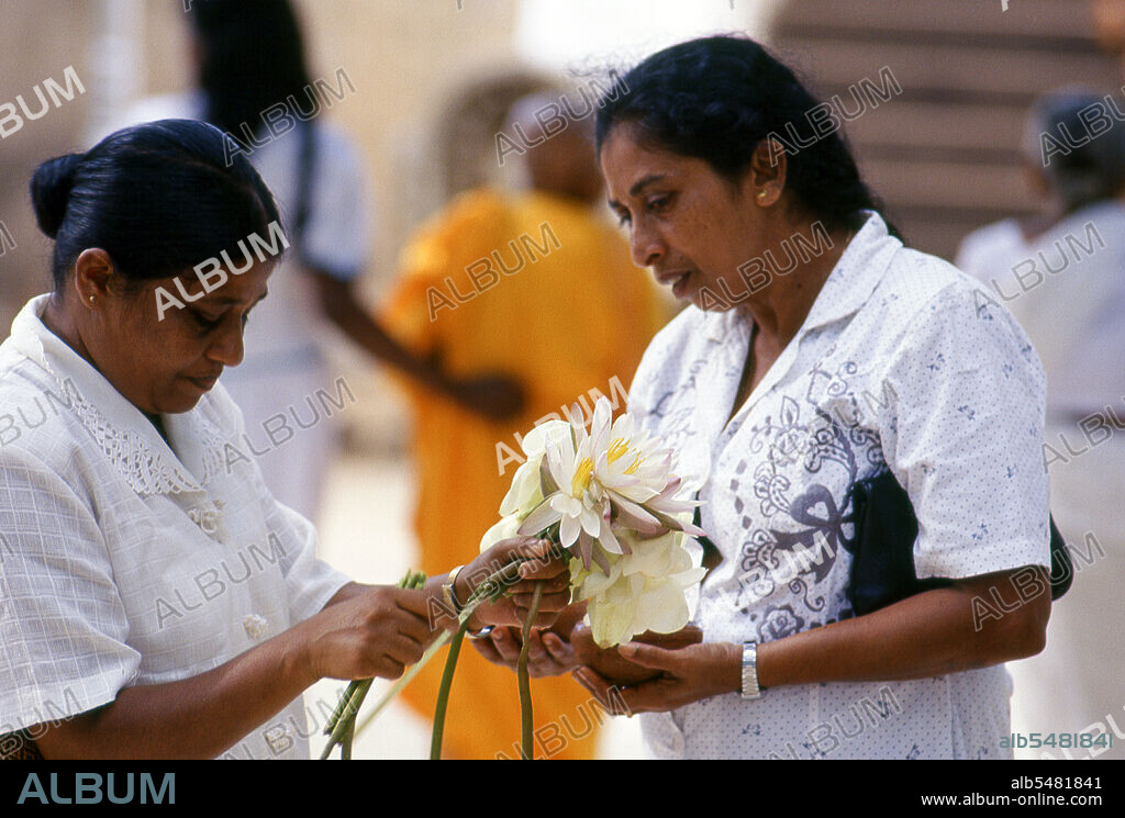 Jaya Sri Maha Bodhi is a Sacred Fig tree and is said to be a sapling from the historical Bodhi tree under which Buddha became enlightened. It was planted in 288 BCE, and is the oldest living human-planted tree in the world with a known planting date. Anuradhapura is one of Sri Lanka's ancient capitals and famous for its well-preserved ruins. From the 4th century BCE until the beginning of the 11th century CE it was the capital. During this period it remained one of the most stable and durable centers of political power and urban life in South Asia. The ancient city, considered sacred to the Buddhist world, is today surrounded by monasteries covering an area of over sixteen square miles (40 km).