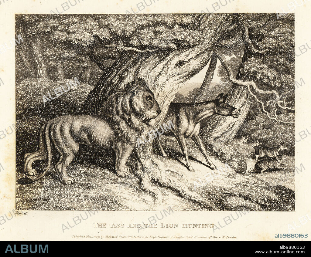 A donkey brays loudly at wolves while hunting with a male lion. The ass and the lion hunting. Illustration of a fable by Greek author Aesop. Copperplate etching drawn and engraved from life by Samuel Howitt from his own A New Work of Animals, Principally Designed from the Fables of Aesop, Gay and Phaedrus, Edward Orme, London, 1811.