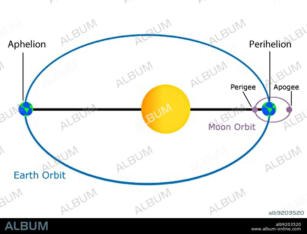 The elliptical orbits of the Moon around the Earth and the Earth around the sun have a substantial effect on the the Earth's tides. Once a month, at perigee, when the Moon is closest to the Earth, tide-generating forces are higher than usual, producing above average ranges in the tides. About two weeks later, at apogee, when the Moon is farthest from the Earth, the lunar tide-raising force is smaller, and the tidal ranges are less than average. When the Earth is closest to the sun (perihelion), around 2 January, tidal ranges are enhanced. At aphelion, when the Earth is furthest from the sun, around 2 July tidal ranges are reduced. Artist not credited.
