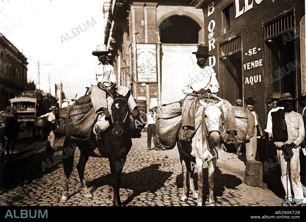 Vegetable men, Food vendors, Mules, Vegetables, Streets, Cuba, Havana, 1900.