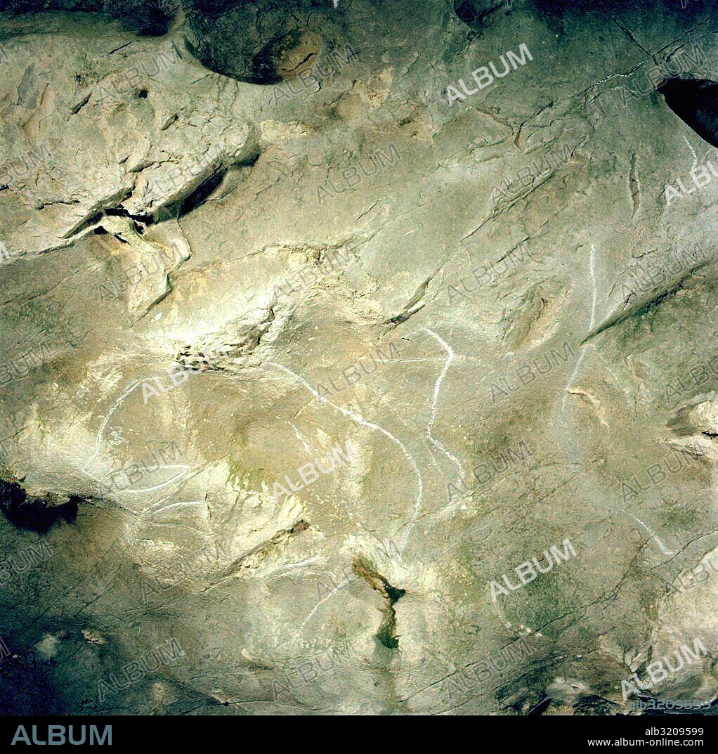 CUEVA DE VENTALAPERRA  (511). OSO.  VIZCAYA, PAIS VASCO, ESPAÑA.