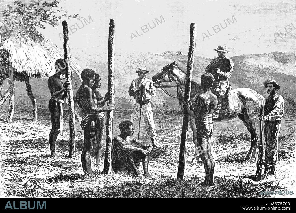 'New Caledonians constructing a house; Some Account of New Caledonia', 1875. From, 'Illustrated Travels' by H.W. Bates. [Cassell, Petter, and Galpin, c1880, London].