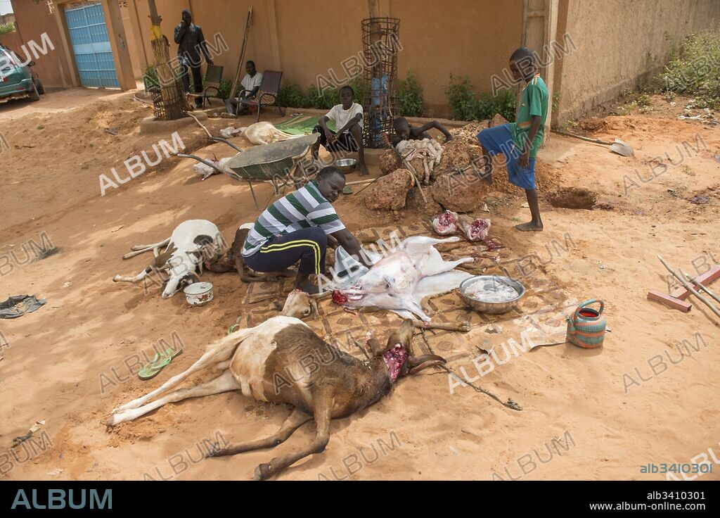 Sacrifice of sheep for Tabaski, name given in western Africa to the Aid el kebir, Tabaski is one of the main holy days in islam, commemorating the sacrifice of Abraham.