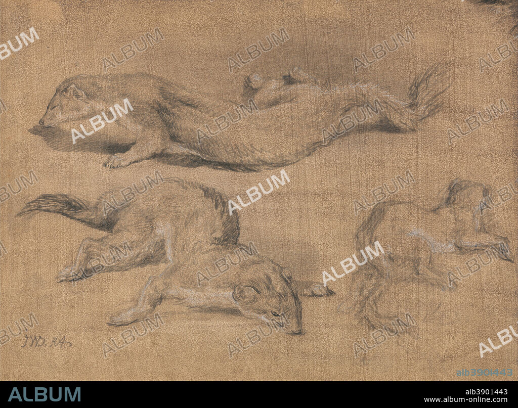 JAMES WARD. Ferrets. Drawing. Black and white chalk on thick, slightly textured, beige wove paper. Height: 251 mm (9.88 in); Width: 855.98 mm (33.70 in).