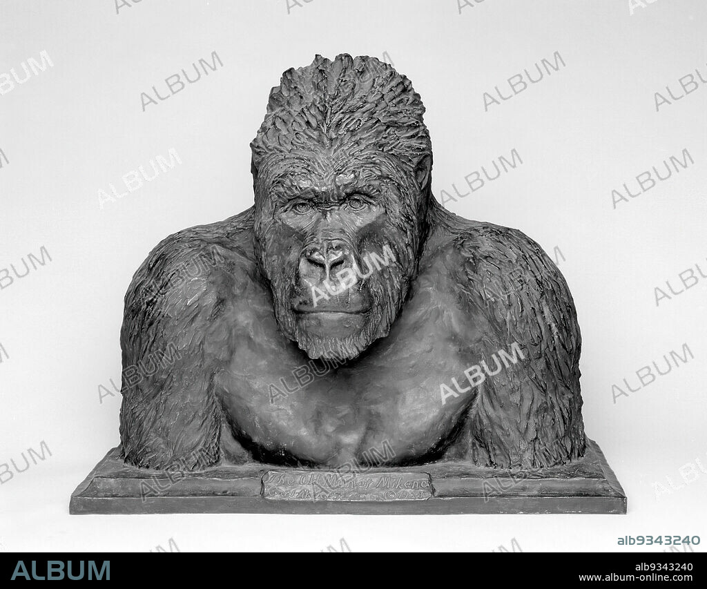 The Old Man of Mikeno, Carl E. Akeley, American, 1864-1926, Bronze, 1923, 24 3/4 x 29 1/2 x 20 in., 62.9 x 74.9 x 50.8 cm, American Sculpture, bronze, bust, evolution, gorilla, guerrilla, nature, portrait, sculpture.