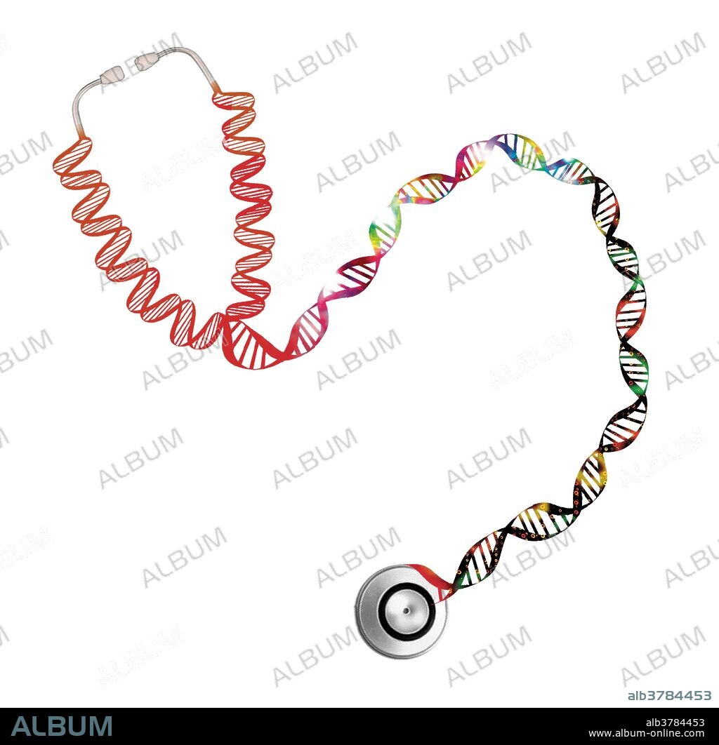 Stethoscope in the shape of a double helix. In molecular biology, the term double helix refers to the structure formed by double-stranded molecules of nucleic acids such as DNA. The double helical structure of a nucleic acid complex arises as a consequence of its secondary structure, and is a fundamental component in determining its tertiary structure. Release date August 13, 2007.