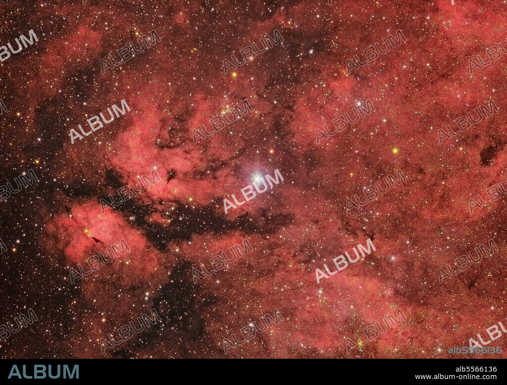 The Sadr region in the constellation Cygnus.