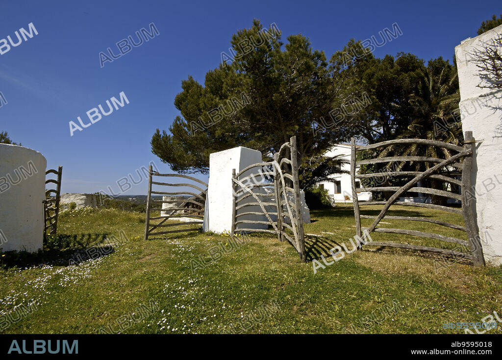 Vinya Sa Cudia. Es Grau (Mahon) . Menorca. Islas Baleares.España.