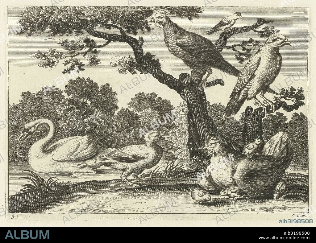 Swan, hen with chicks and other birds, Pieter van Lisebetten, Wenceslaus Hollar, Francis Barlow, 1654-1678.