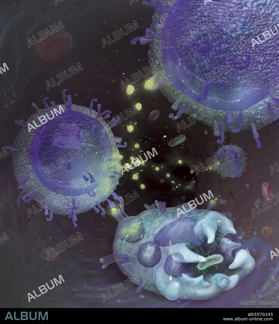 Medical illustration depicting immune system interaction at cellular level.