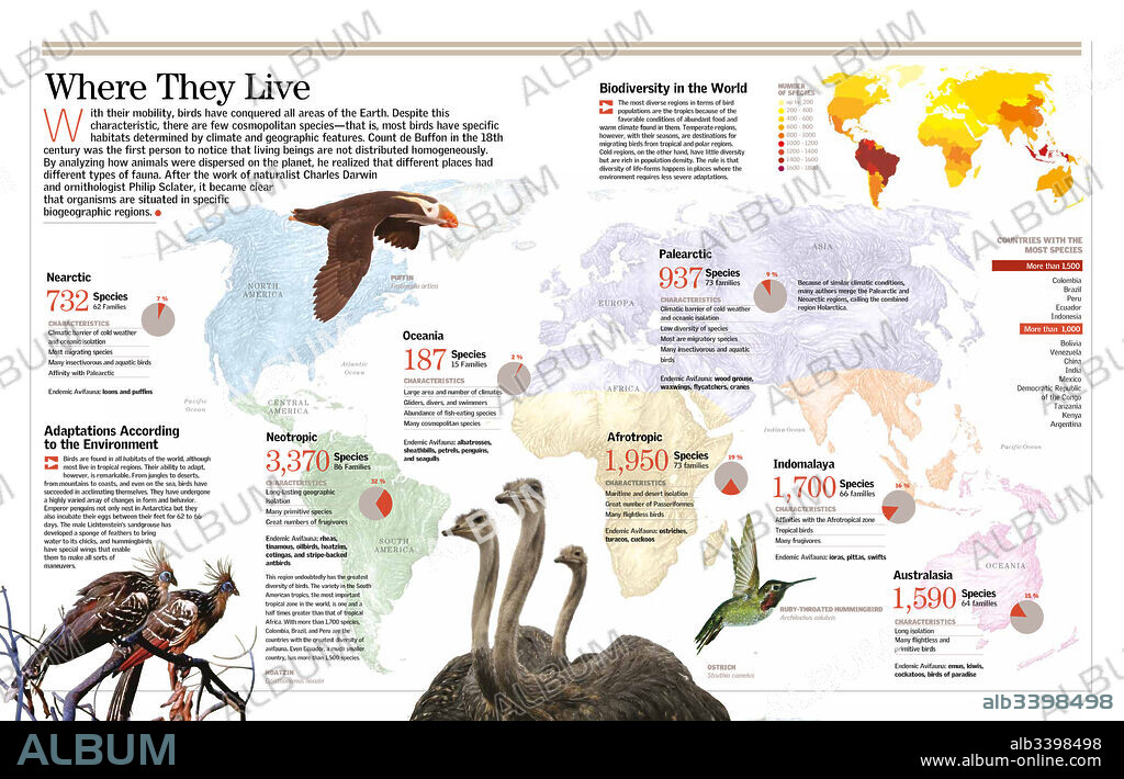 Regiones donde viven. Infografía sobre la distribución de la especies de aves en el mundo.