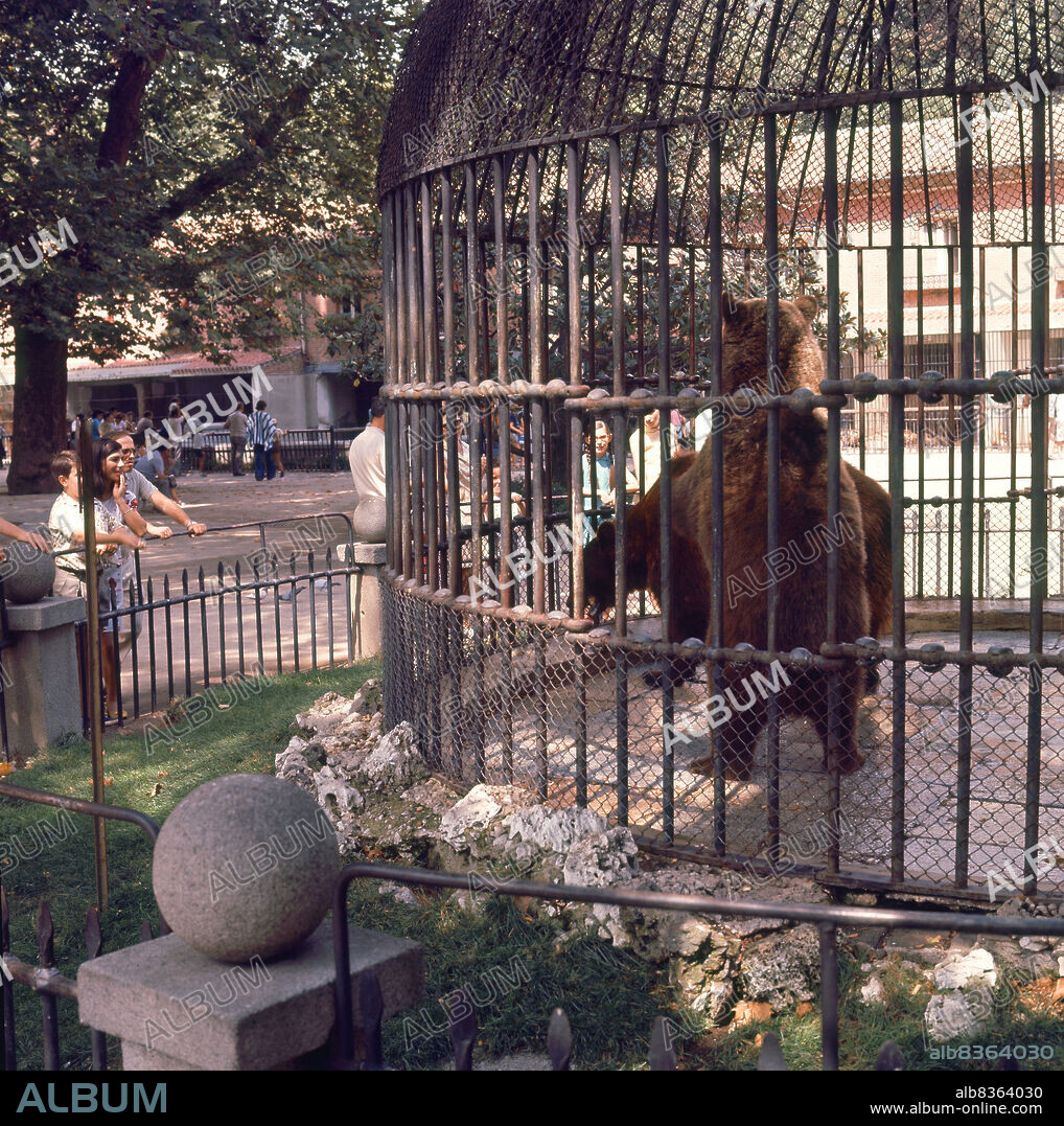 OSO BLANCO EN EL ANTIGUO ZOOLOGICO SITUADO EN EL RETIRO.
