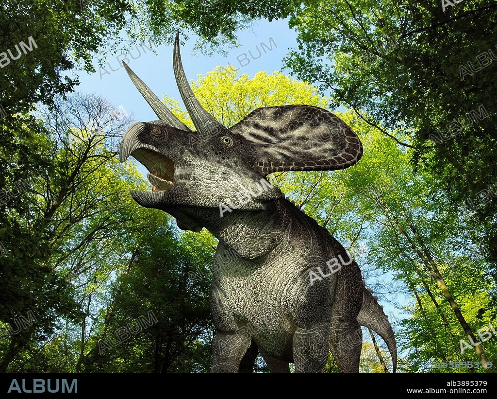 A 10 foot long, 250 pound Zuniceratops wanders a Cretaceous forest 90 million years ago in what is today New Mexico. . . Like the better known and larger Triceratops, Zuniceratops was a Ceratopsid, a family of four-legged plant-eating dinosaurs characterized by beaks, rows of shearing teeth in the back of the jaw, and elaborate horns and frills. While they resemble defensive shields, the frills are in fact relatively fragile, suggesting that they may have served a purpose other than protecting against a brute force attack. One possibility is that the frills were employed as visual displays in order to intimidate rivals and attract the opposite sex.