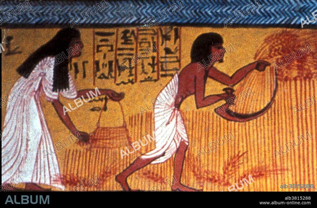 Ancient Egyptian Agriculture, 1200 BC