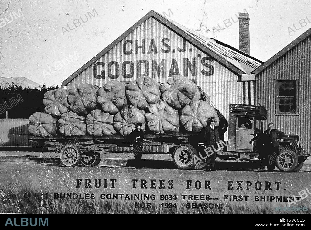 Negative - Bairnsdale District, Victoria, 1934, Three men standing by a truck laden with packaged trees. Chas. J. Goodman's Fruit Tree Nursery in the background.
