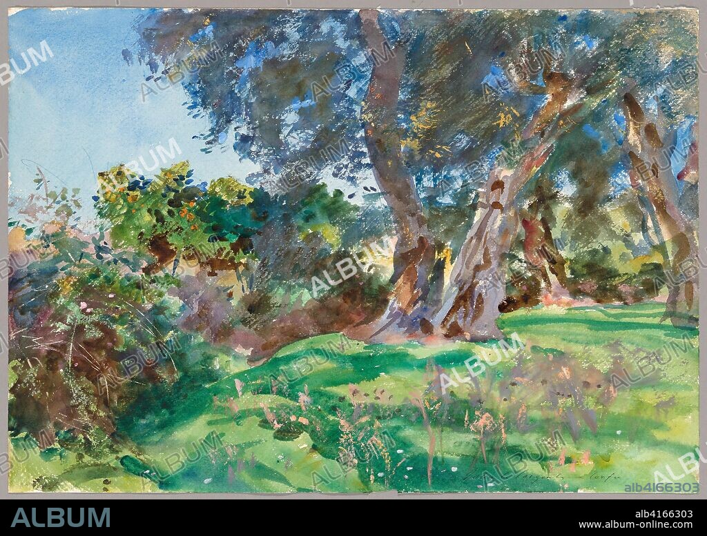 Olive Trees, Corfu. John Singer Sargent; American, 1856-1925. Date: 1909. Dimensions: 356 x 508 mm. Watercolor and opaque watercolor with scraping and wax resist over graphite on ivory wove paper. Origin: United States.
