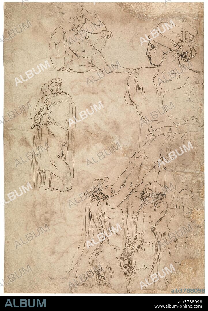 PERIN DEL VAGA. Perino del Vaga / 'Estudios de figura humana'. Primera mitad del siglo XVI. Pluma, Preparado a lápiz, Tinta parda sobre papel, 207 x 142 mm.
