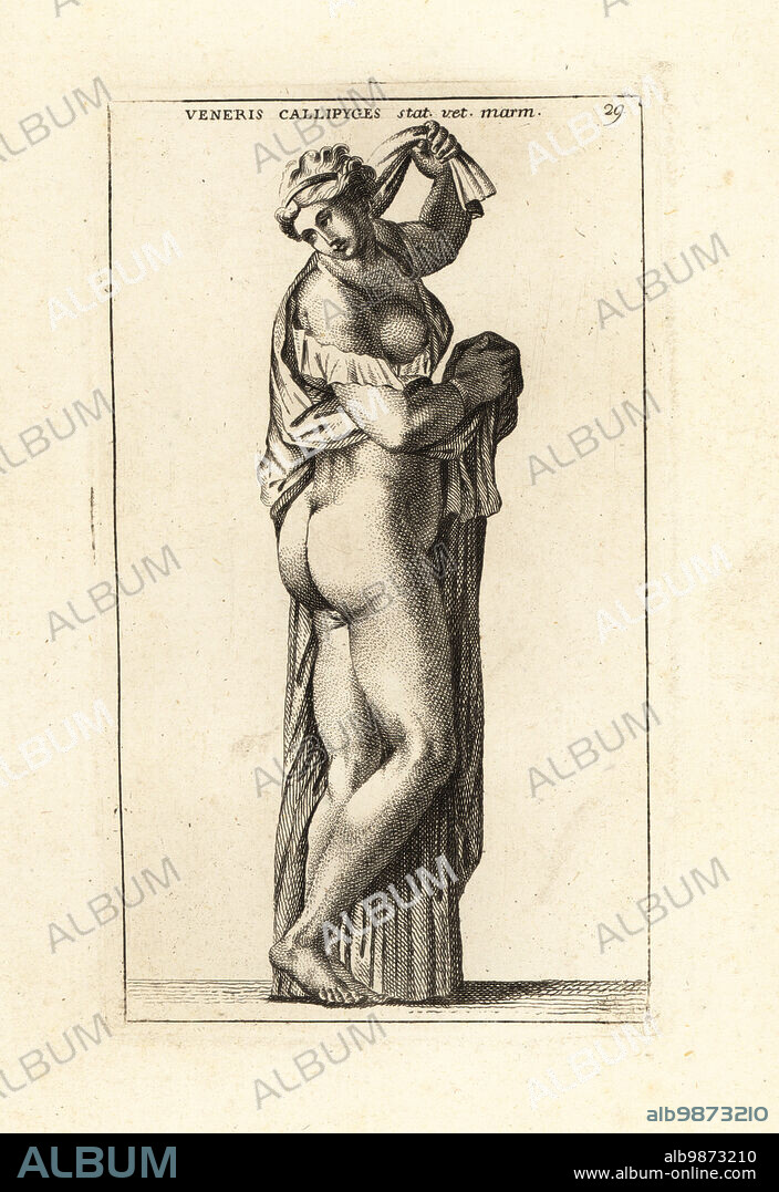 Marble statue of Venus Callipyge, or the Aphrodite Kallipygos, 1st century BC Roman copy of a 4th century BC Greek bronze original. Now in the Naples National Archaeological Museum. Veneris Calliopyges statua vetus marmorea. Copperplate engraving by Giovanni Battista Cannetti from Copperplates of the most beautiful ancient statues of Rome, Calcografia di piu belle statue antiche a Roma, engraved by Cannetti all'Arco della Ciambella, published by Gaetano Quojani, Rome, 1779.