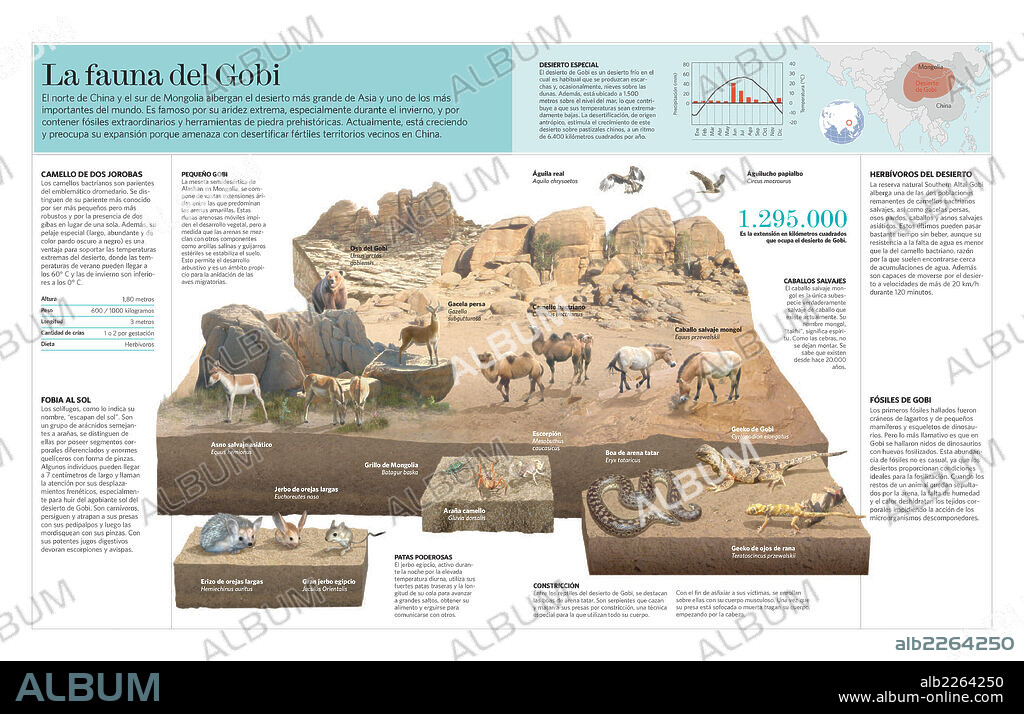 La fauna del Gobi. Infografía de la fauna que habita en el desierto del Gobi, en el norte de China.