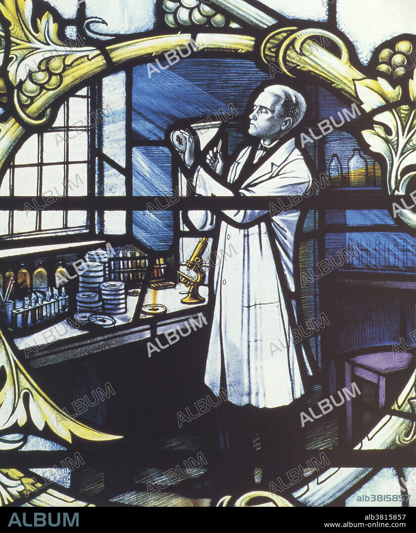Sir Alexander Fleming depicted at work in a stained-glass window of a church in London. Fleming (1881 - 1955) was a Scottish biologist and pharmacologist. Fleming moved to London where he studied and conducted research at St. Mary's Medical School, London University. A captain in the Army Medical Corps during WWI, Fleming is known for his discovery of the lysozyme and the isolation of penicillin to cure disease. He received the Nobel Prized in Phyiology or Medicine in 1945 along with Chain and Florey for their work with penicillin.