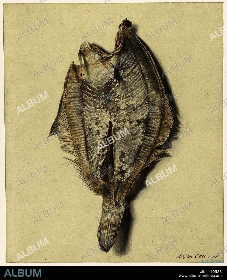 Scharretje. Draughtsman: Hendrik Gerrit ten Cate. Dating: 1837. Measurements: h 238 mm × w 200 mm.