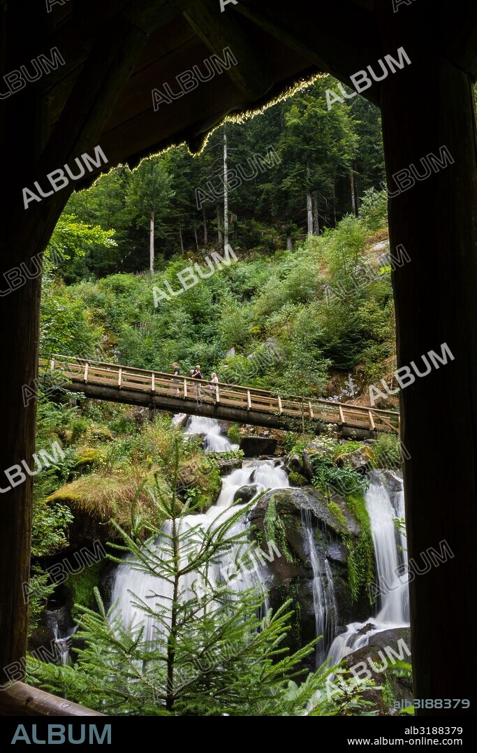 cascadas Triberg,  - Triberger Wasserfälle- , con un descenso de 163 metros,  río Gutach, Triberg, región de la Selva Negra, Alemania, Europe.