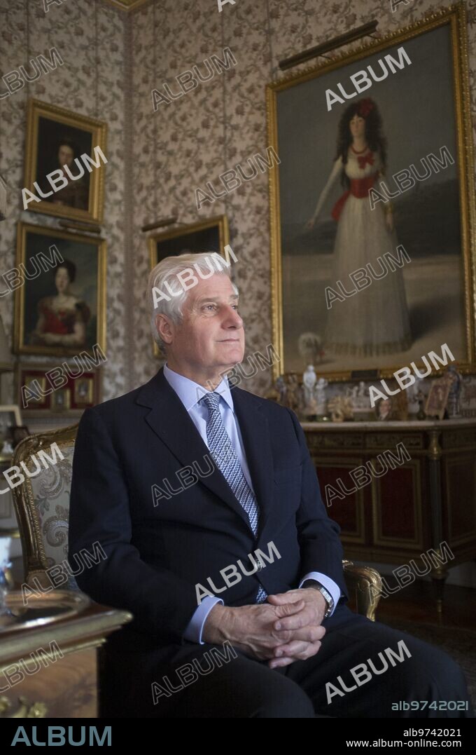 Carlos Fitz-James Stuart y Martinez de Irujo; Duque de Huescar en el salon Goya, tras el "Retrato de la Duquesa de Alba" de Goya Palacio de Liria; Madrid 07/11/2012 Foto Matias Nieto ARCHDC.