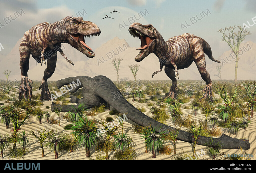 Confrontation between a pair of adult T. Rex carnivorous dinosaurs over the ownership of a dead sauropod dinosaur.