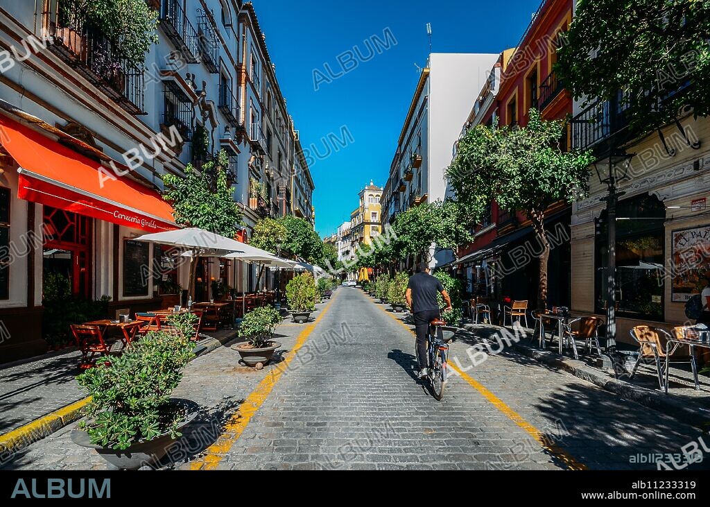 Calle Mateos Gago, a busy street with bars and restaurants in the historic centre of Seville, Andalusia, Spain, Europe.