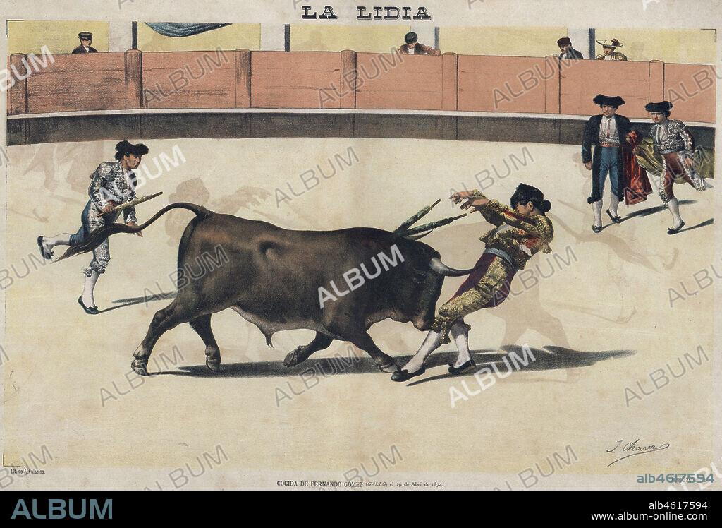 La lidia. Cogida de Fernando Gómez García (1847-1897), el Gallo, el 19 de abril de 1874. Año 1887.