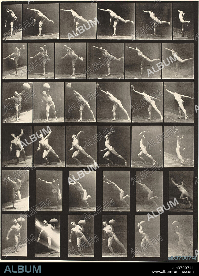 EADWEARD MUYBRIDGE. Animal Locomotion, Plate 523. Dated: 1887. Dimensions: image: 32.4 x 24.8 cm (12 3/4 x 9 3/4 in.)  sheet: 47.6 x 60.3 cm (18 3/4 x 23 3/4 in.). Medium: collotype.