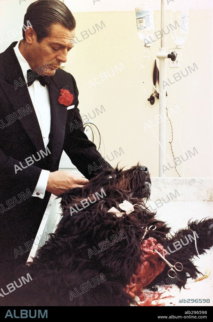 MARCELLO MASTROIANNI en LA PIEL, 1981 (LA PELLE), dirigida por LILIANA CAVANI.