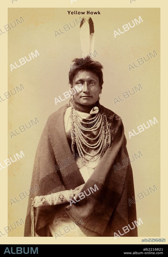 Chief.