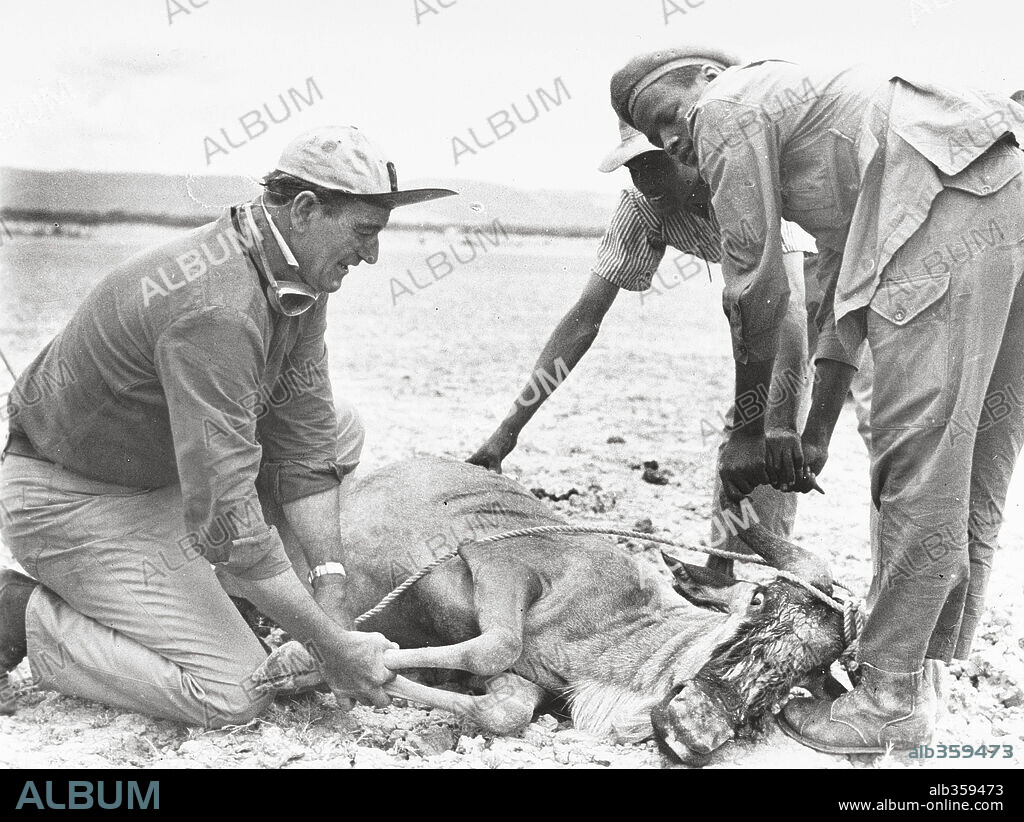 JOHN WAYNE in HATARI!, 1962, unter der Regie von HOWARD HAWKS. Copyright PARAMOUNT PICTURES.